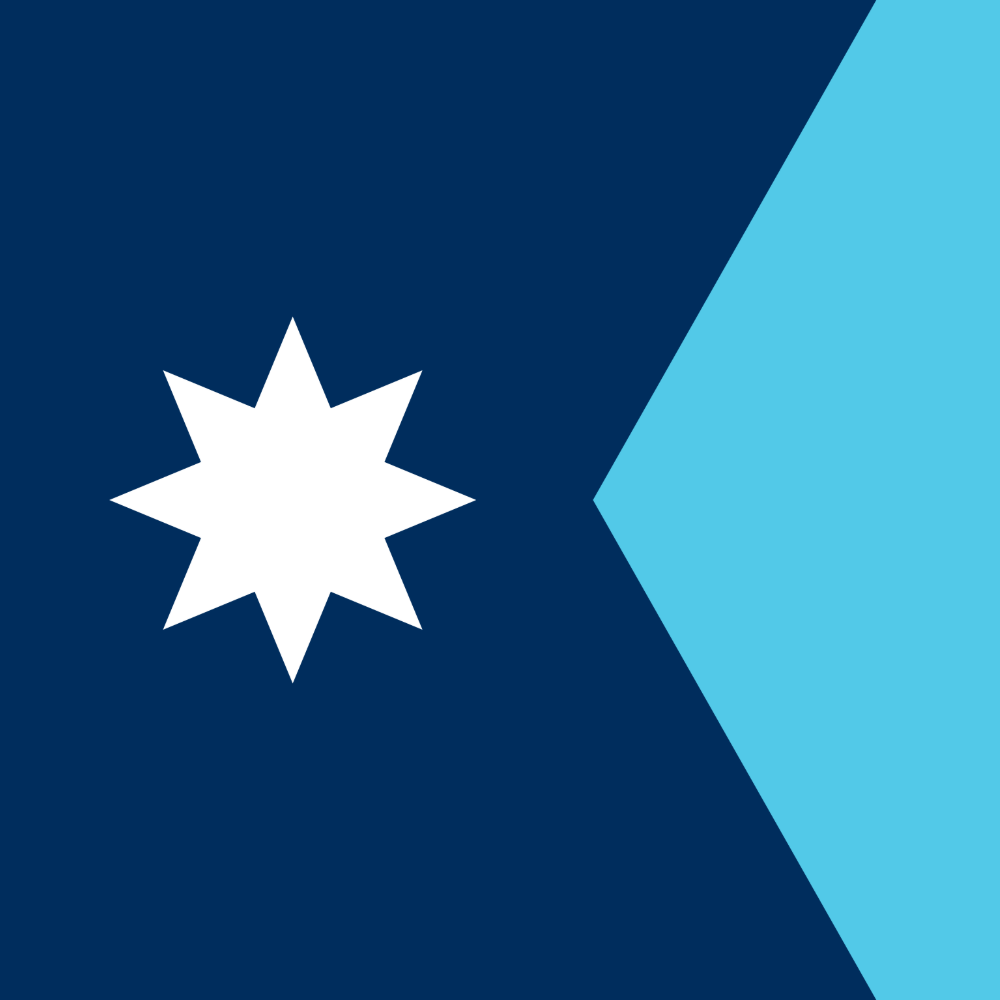 Minnesota flag