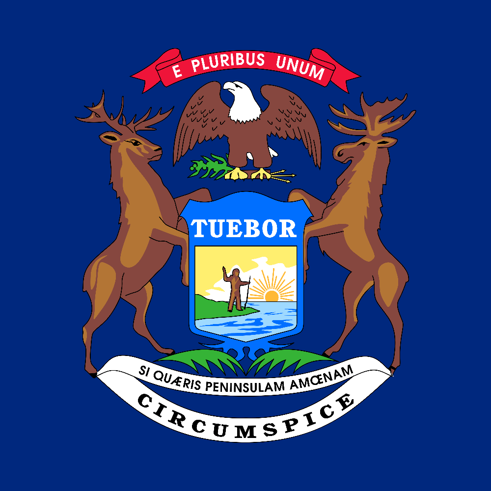 Michigan flag